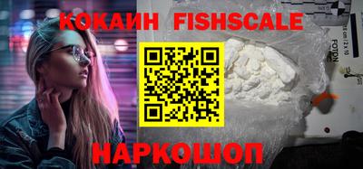 индика Будённовск