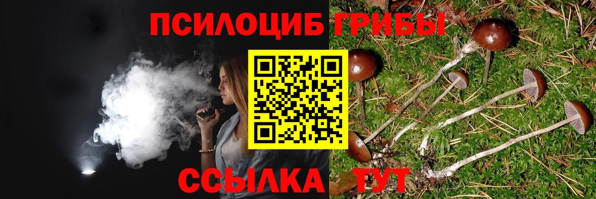 Галлюциногенные грибы Cubensis Североуральск